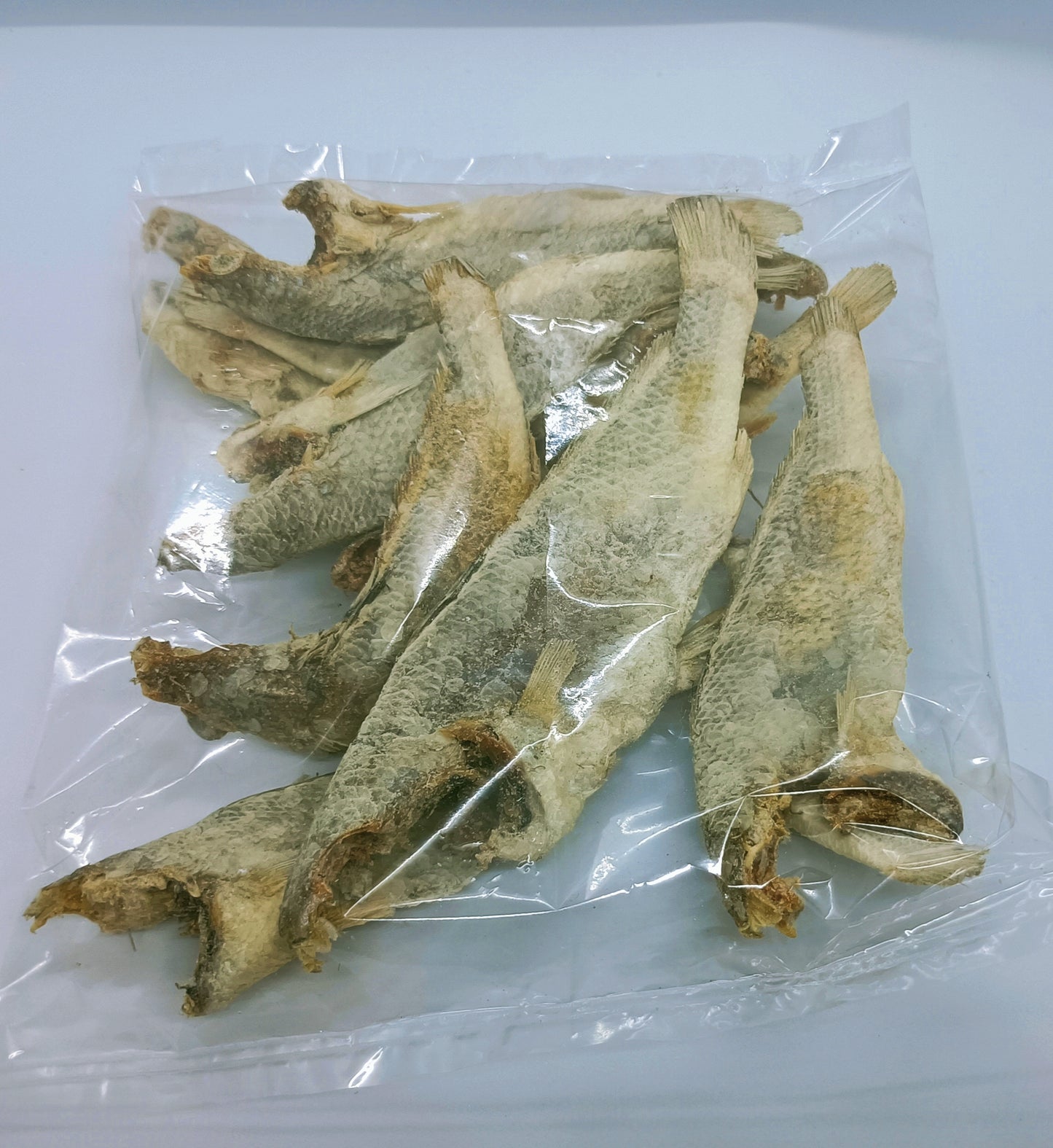 Dry Croaker fish salted.