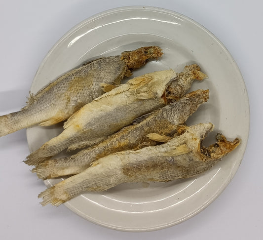 Dry Croaker fish salted.